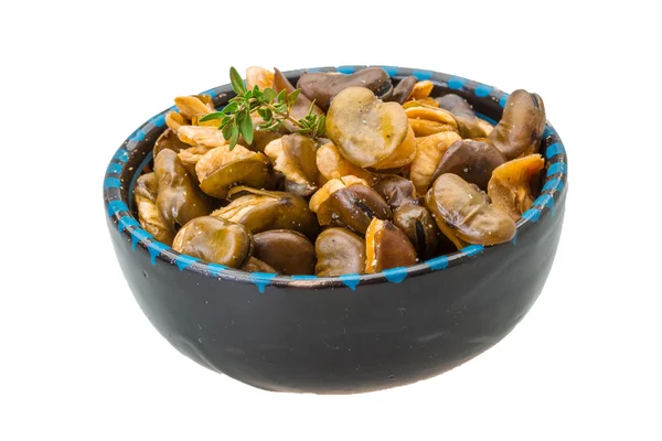 Fagioli larghi — Foto Stock