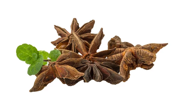 Star-anise — Stock Photo, Image