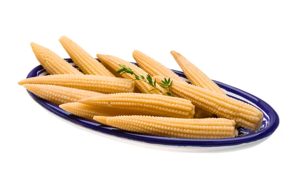 Dzieci kukurydzy — Zdjęcie stockowe