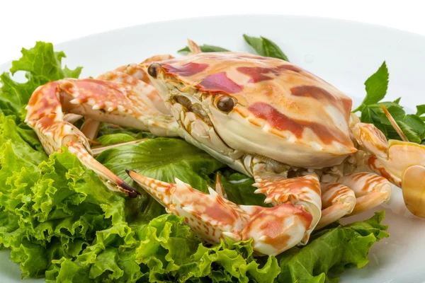 Kokt krabba — Stockfoto