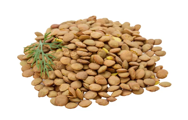 Raw lentils — Stock Photo, Image