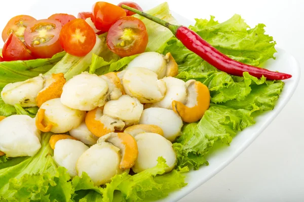 Scallops — Stock Photo, Image