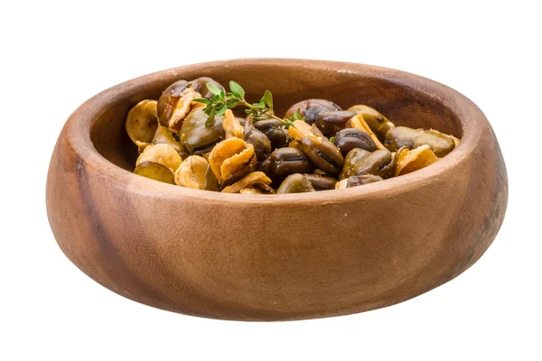 Fagioli larghi — Foto Stock