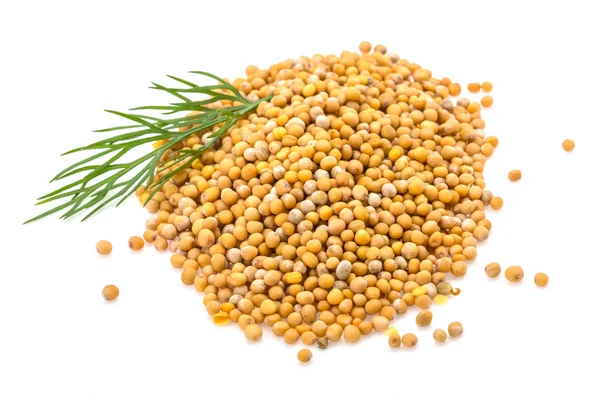 Kupie nasiona gorczycy — Zdjęcie stockowe
