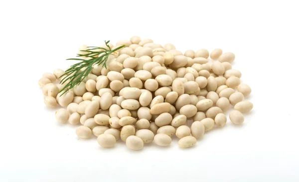 White dry beans — Stock Photo, Image