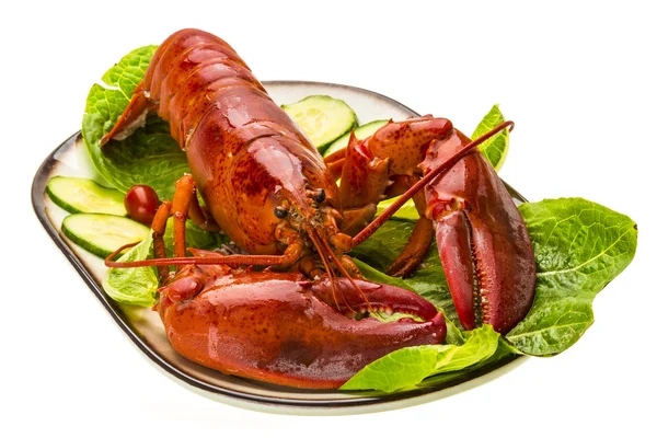 Large Lobster — Stock Photo, Image