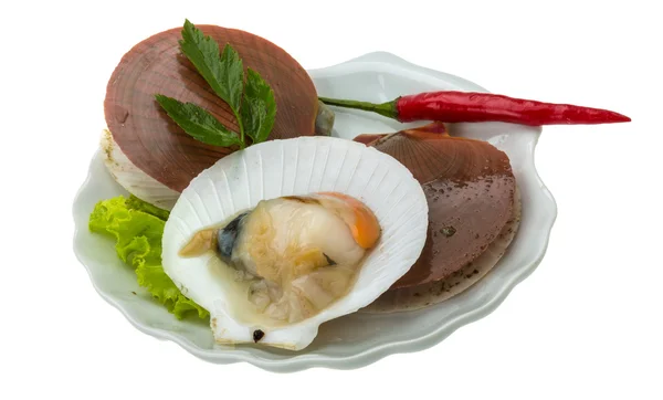 Raw fresh scallops — Stock Photo, Image