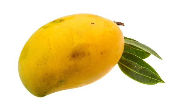 Žluté světlé mango — Stock fotografie