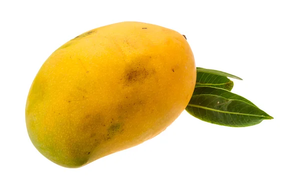 Yellow bright mango — Stock Photo, Image