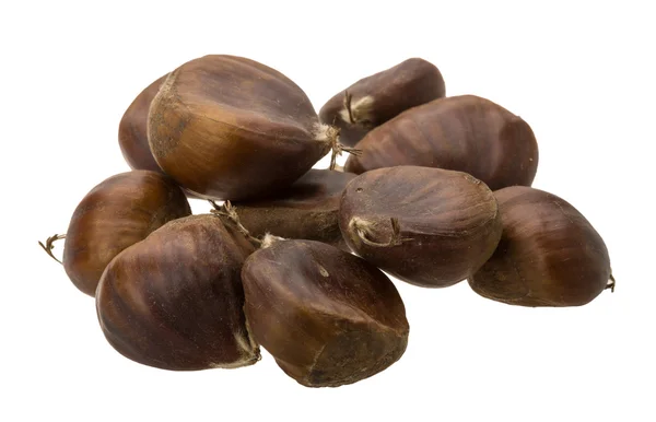 Chestnut — Stock Photo, Image