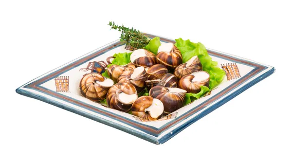 Escargot — Foto Stock