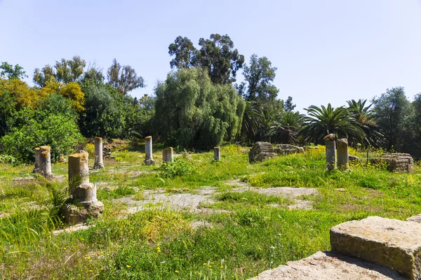 Oude ruïnes Carthago — Stockfoto