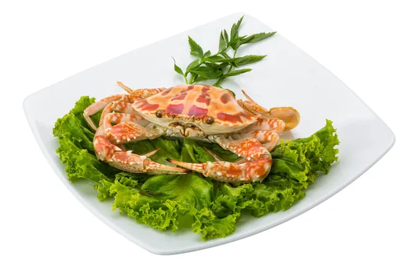 Boiled crab — Stock Photo, Image