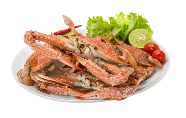 Boiled blue crab — Stock Photo, Image