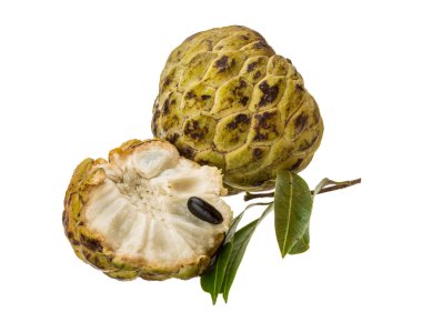 Annona.