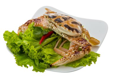 çiğ Kırmızı yengeç