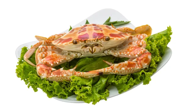 Boiled crab — Stock Photo, Image