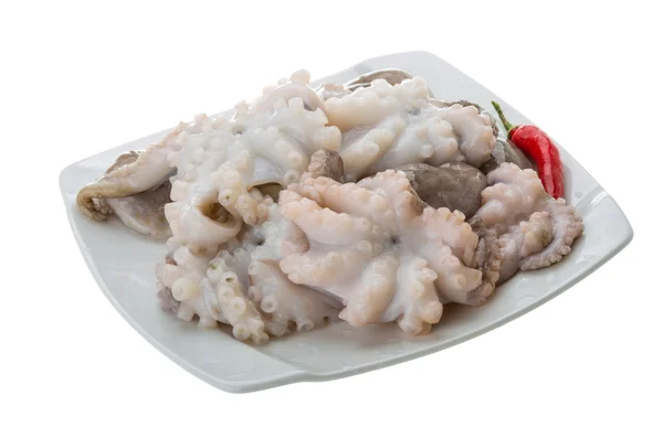 Raw octopus — Stock Photo, Image