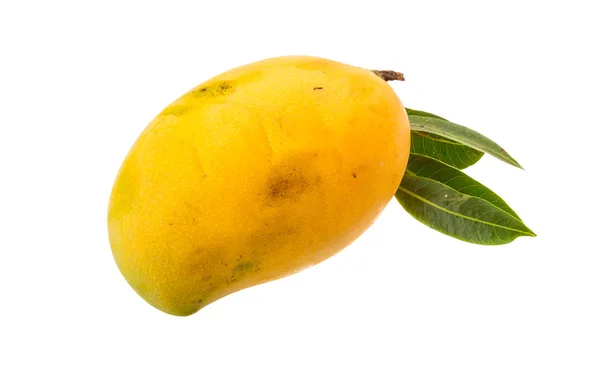 Žluté světlé mango — Stock fotografie