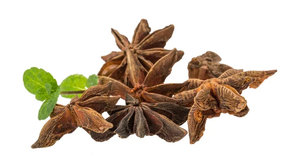 Star-anise — Stock Photo, Image