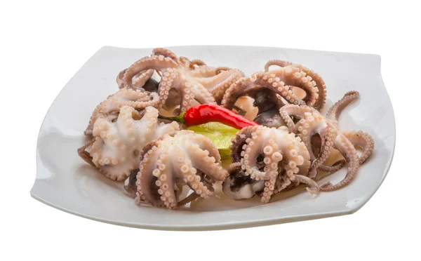 Pulpo hervido — Foto de Stock