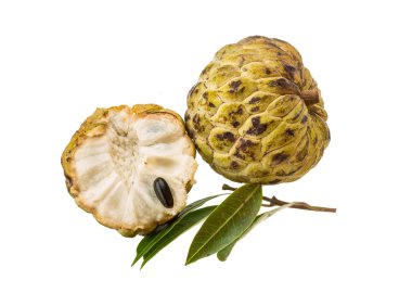 Annona.