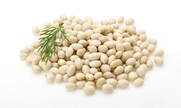 White dry beans — Stock Photo, Image