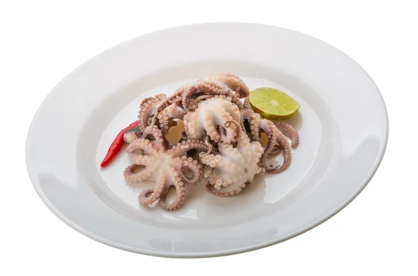 Boiled octopus — Stock Photo, Image