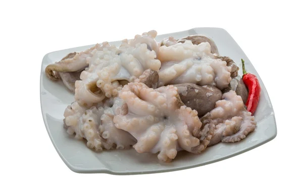 Pulpo crudo — Foto de Stock