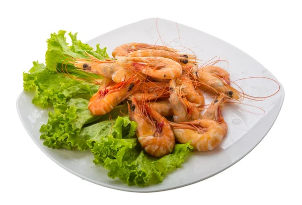 Big tiger shrimps — Stock Photo, Image