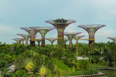 Körfez kenarındaki bahçeler