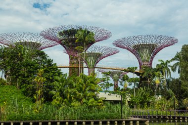 Körfez kenarındaki bahçeler