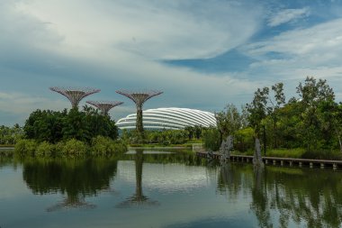 Singapur Körfezi 'ndeki Bahçeler