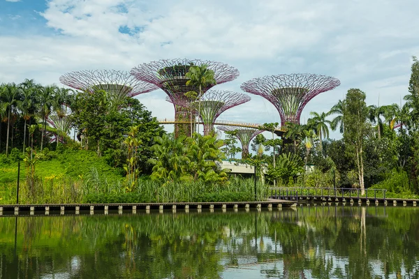 シンガポールの湾による庭園 — ストック写真