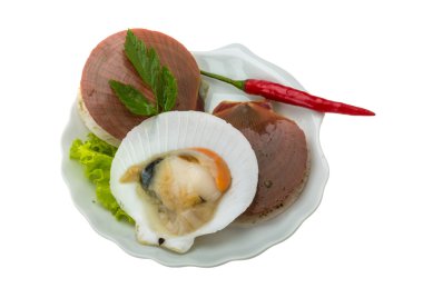 ham taze deniz tarağı