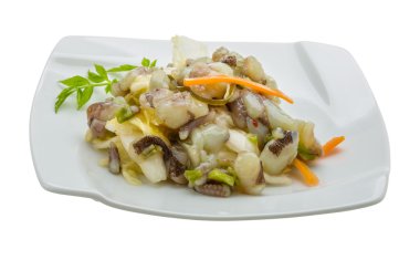 ham ahtapot salatası