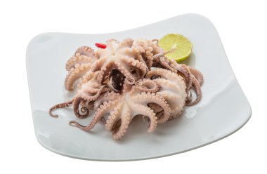 haşlanmış ahtapot