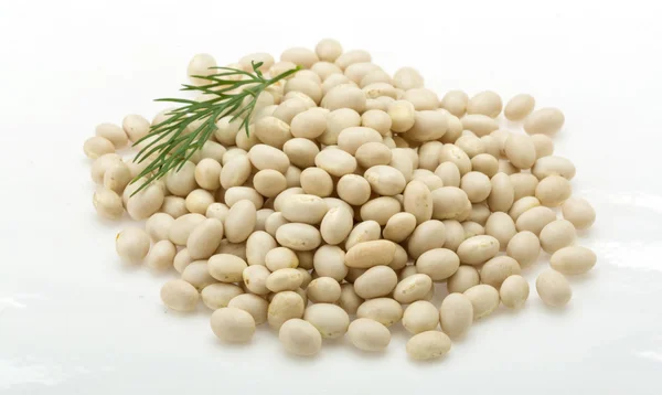 Frijoles secos blancos — Foto de Stock