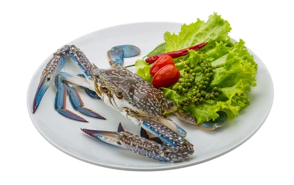 RAW blå krabba — Stockfoto