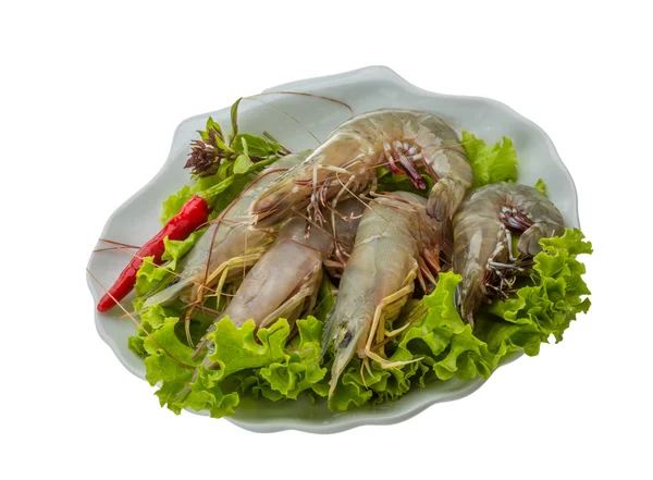 Raw tiger shrimps — Stock Photo, Image