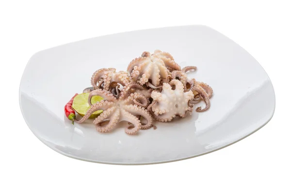 Boiled octopus — Stock Photo, Image