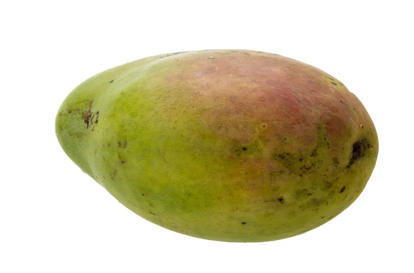 Зеленый мнго — стоковое фото