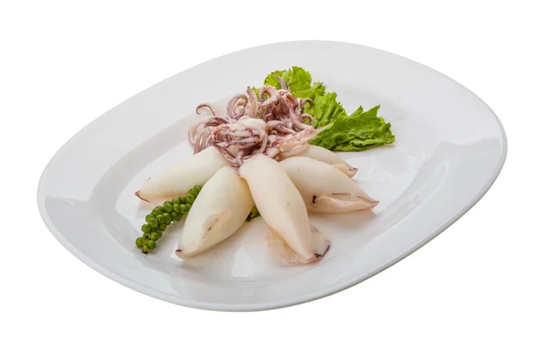Boiled squid — Stock Photo, Image
