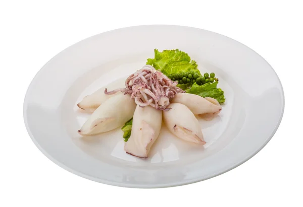 Boiled squid — Stock Photo, Image