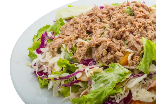 Tonijnsalade — Stockfoto