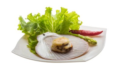 ızgara tarak