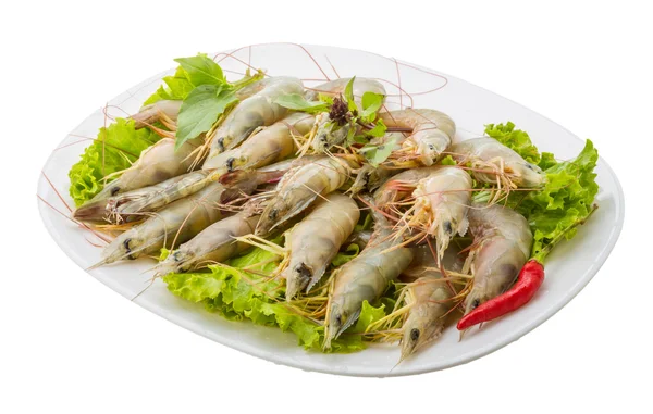 Raw tiger shrimps — Stock Photo, Image