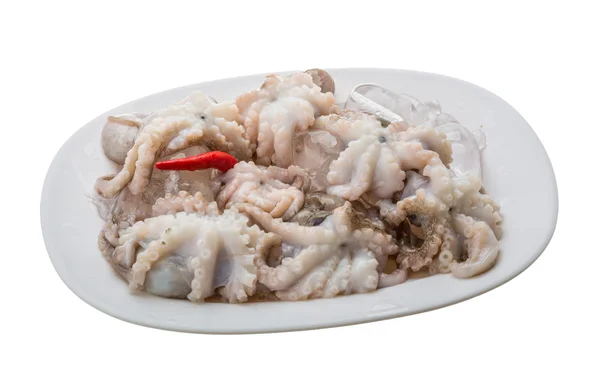 Pulpo crudo — Foto de Stock