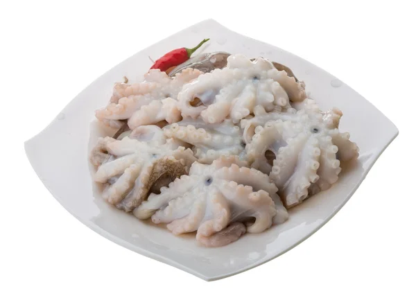 Pulpo crudo — Foto de Stock