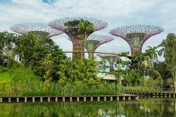 Gardens by Bay, Сингапур — стоковое фото